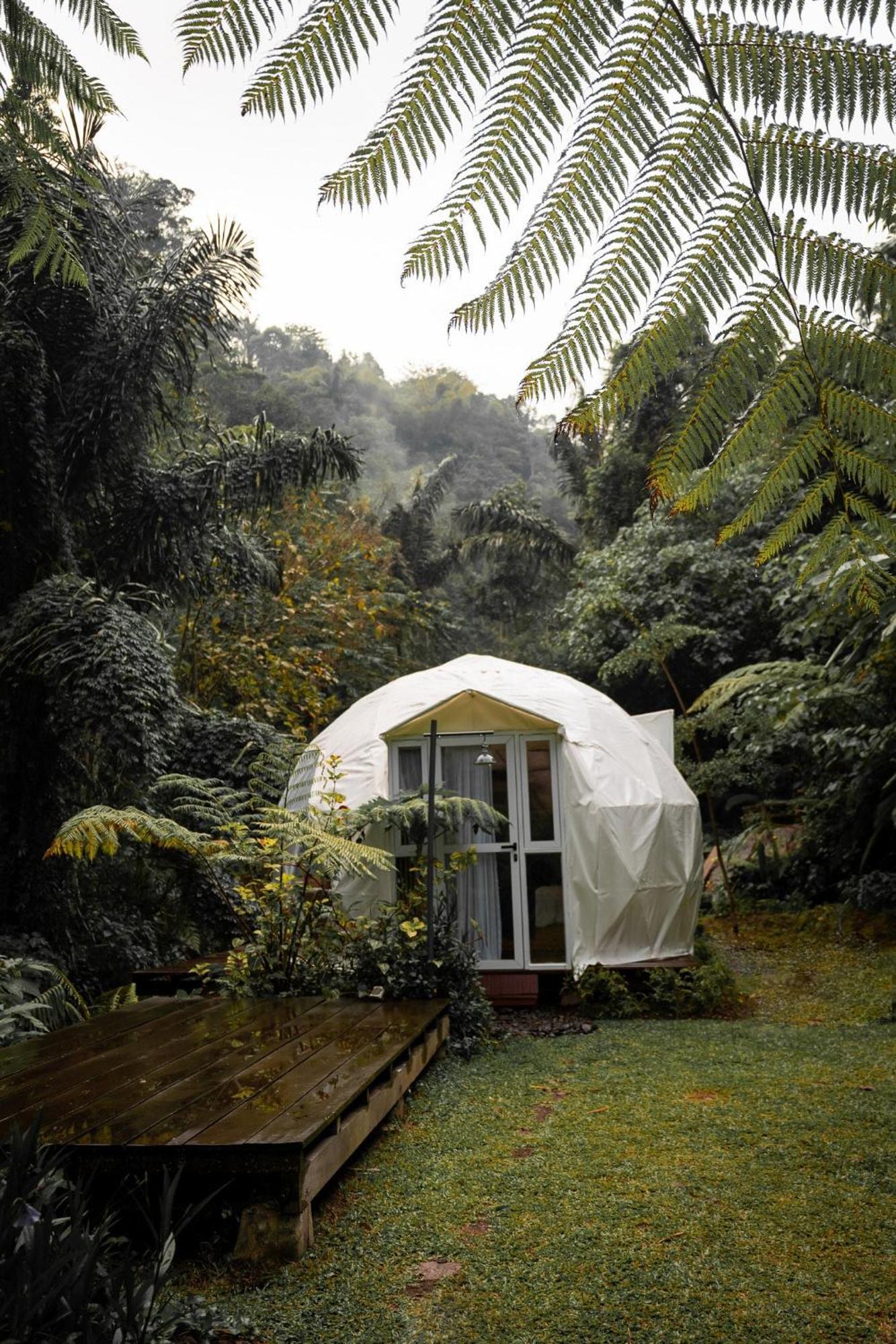 Glamping Tent In Pelaga Eco Park Patjung