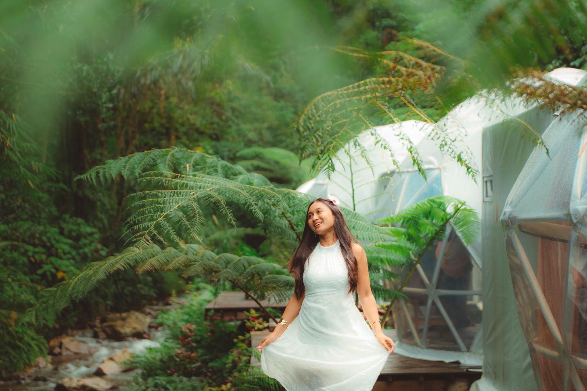 Luxe tent Glamping Tent In Pelaga Eco Park *